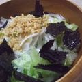 ゆーあちん's cooksnap of when they made レタスと新玉葱のサク②サラダ★.