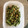 lanlan's cooksnap of when they made いんげんの練りごま和え.