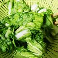 ふぁんたにゃん's cooksnap of when they made べか菜（山東菜）のお手軽漬物.