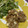 uka310's cooksnap of when they made 切り落とし豚肉で…ほろほろミニバーグ.