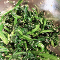 paco723's cooksnap of when they made 【基本】ほうれん草の胡麻和え.