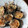 おはな✻'s cooksnap of when they made 簡単！絶品！新食感サクサクとろりんな茄子.