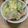 ポメちょん's cooksnap of when they made サッパリな春雨サラダ.
