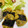 ＊＊マミーちゃん＊＊'s cooksnap of when they made つくね芋の磯辺揚げ.