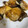 さえか's cooksnap of when they made おせち･お正月に。あら煮風ぶりの照り焼き.