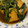 mkmrkm0804's cooksnap of when they made もう一品！厚揚げのとろりほうれん草かけ.