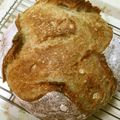 TeaMuffin's cooksnap of when they made 自家製酵母でマンゴーカンパーニュ.