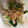 ☆アンシェル☆'s cooksnap of when they made 植えきれない沢山の間引き菜救済～お浸し～.