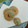 灰色らぶ's cooksnap of when they made 卵白消費！紅茶のさくさく絞り出しクッキー.