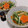 みかかめ's cooksnap of when they made ✤油揚と水菜の煮浸し✤.