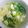 ふみはやおはる's cooksnap of when they made ねぎま汁.