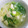 ふみはやおはる's cooksnap of when they made ねぎま汁.