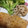 ﾌﾞﾚﾝﾀﾞ's cooksnap of when they made 揚げずに簡単！蓮根チップス(蓮根素揚げ).