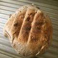 みみ母's cooksnap of when they made プルーンピューレdeプチミルクパン♪.