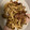 初心者モト's cooksnap of when they made しめじとベーコンのオイスターソース炒め.
