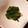 クックL8U9HI☆'s cooksnap of when they made お手軽♪小松菜やほうれん草のレンジ茹で.