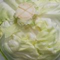 プルンバゴ's cooksnap of when they made ◆キャベツの保存方法＆使い方◇.