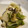 HippiHoppi's cooksnap of when they made 簡単 白菜の漬物.