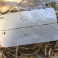 R2016's cooksnap of when they made 話題入り感謝♡【豆知識】ごぼうの冷凍保存.