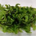 冷月浅夢's cooksnap of when they made レンジで簡単！ピーマンの塩昆布ナムル☆.