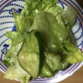 petokko's cooksnap of when they made レタスときゅうりの中華風サラダ.