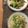 ﾌﾞﾚﾝﾀﾞ's cooksnap of when they made ブロッコリーのペペロンチーノ.