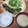 chiみかん's cooksnap of when they made ➏とろ～っとやわらか♪豚肉のみぞれ焼き➏.