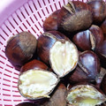 chako106HM's cooksnap of when they made 簡単　美味しい栗のゆで方（炊飯器調理）.