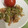 Miaaaaaaam's cooksnap of when they made ゴーヤとさきいかのゴマおかか和え.
