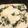 金魚のひらり's cooksnap of when they made トロトロ優しい味【ほうれん草のグラタン】.