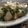 Faiza's cooksnap of when they made 里芋とアスパラのバター醤油炒め.