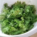 enr's cooksnap of when they made 水みずしぃ葉物野菜の保管方法.