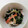 ゆずずママ's cooksnap of when they made ほうれん草とカニカマの磯辺和え.