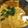 thanx's cooksnap of when they made 和風あんかけオムレツ.