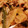 ハッピィ0730's cooksnap of when they made ♪豚肉とピーマンのオイマヨ炒め♪.