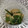 nyoeasy___'s cooksnap of when they made 小松菜の煮浸し★作り置き★簡単.