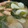 toshio39's cooksnap of when they made 蕪とソーセージのポトフ.