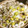 ぽんず推し！'s cooksnap of when they made 永谷園で♪きのことぎんなんの炊き込みご飯.
