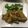 クック78R779☆'s cooksnap of when they made お弁当用カレー味生姜焼き.