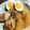 優木星's cooksnap of when they made 簡単＆絶品♡手羽元・卵・大根の煮物♪.