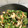 ayuha21's cooksnap of when they made すき焼きのタレとオイスターソース甘辛炒め.