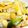 クックSV4QXZ☆'s cooksnap of when they made 衣笠丼♪油揚からお出汁がジュワ～.
