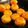 ○みつこ○'s cooksnap of when they made 砂糖ゼロ☆安納芋のコロコロスイートポテト.