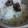＊ちこりん＊'s cooksnap of when they made 甘栗むいちゃいましたご飯.
