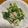 しっちゃん♪'s cooksnap of when they made 自担、簡単！小松菜のツナマヨサラダ風.