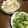 ☆cocoNatsu's cooksnap of when they made むね肉とキャベツの酒蒸し.