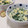 みかかめ's cooksnap of when they made ワカメとほうれん草のタマゴとじスープ.