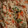 rottico's cooksnap of when they made 失敗しない卯の花いり（おから）.