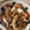 もものはちみつ's cooksnap of when they made つるん♪鶏むね肉と秋のきのこのとろみ煮.