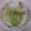 美砂っち's cooksnap of when they made 混ぜるだけ！貝割れツナマヨサラダ.
